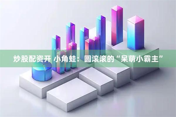 炒股配资开 小角蛙：圆滚滚的“呆萌小霸主”