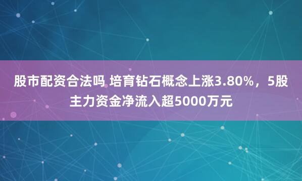 股市配资合法吗 培育钻石概念上涨3.80%，5股主力资金净流入超5000万元