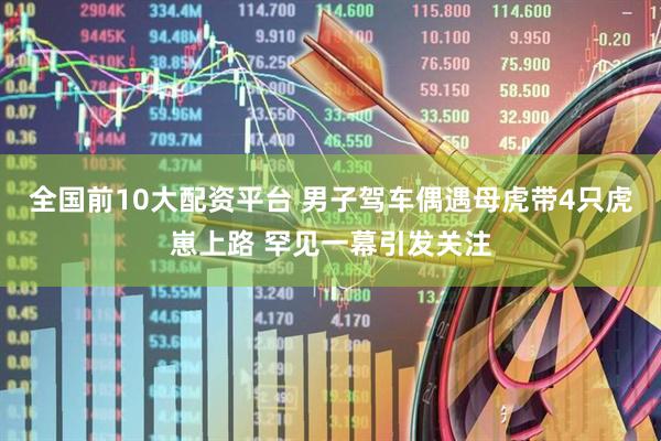 全国前10大配资平台 男子驾车偶遇母虎带4只虎崽上路 罕见一幕引发关注